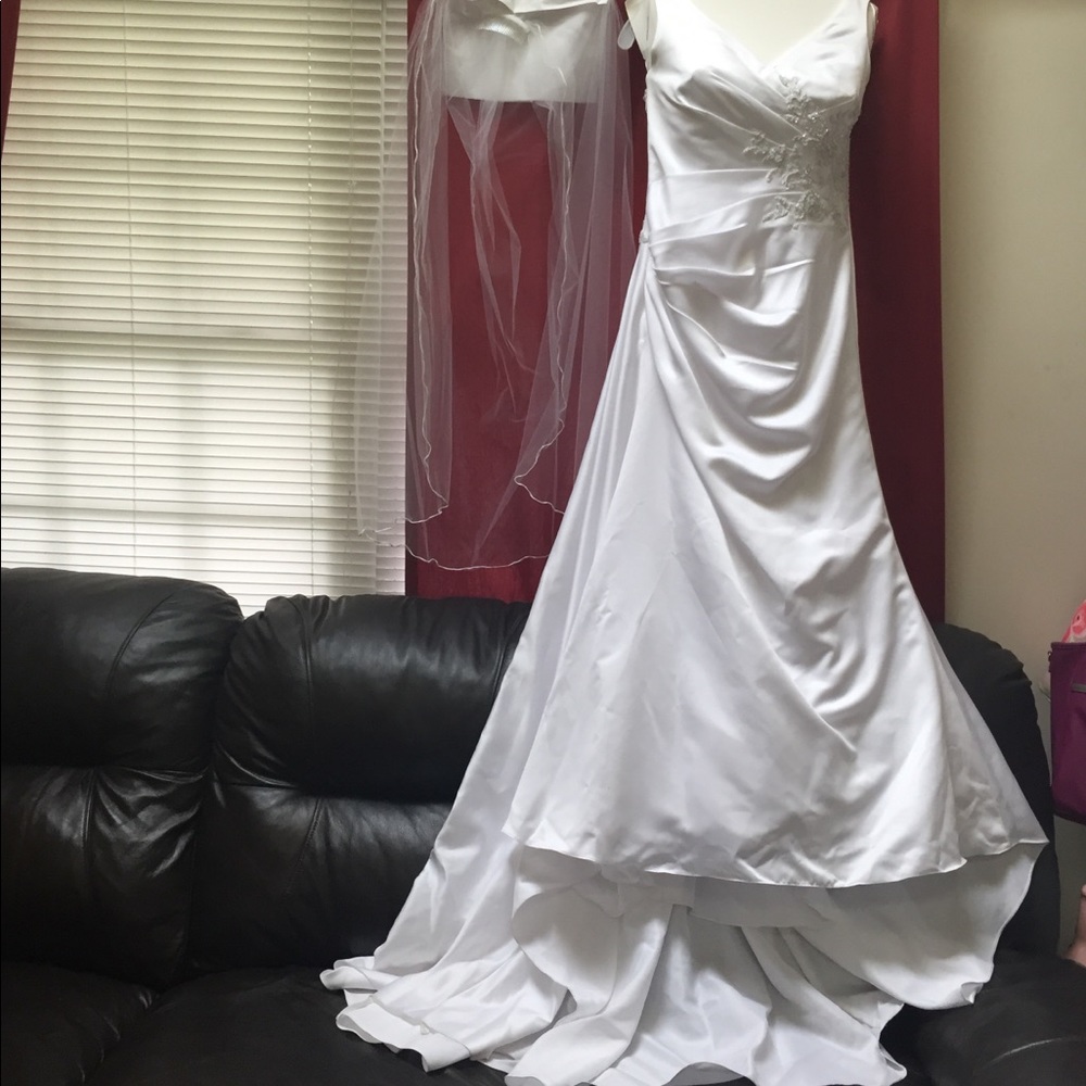 David’s Bridal Wedding dress and veil